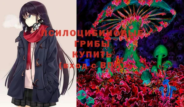 мдпв Покачи