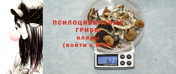 ГАЛЛЮЦИНОГЕННЫЕ ГРИБЫ Кинешма