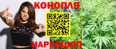 тгк Краснодар