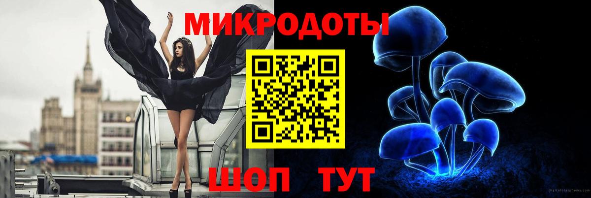 Псилоцибиновые грибы прущие грибы Карталы
