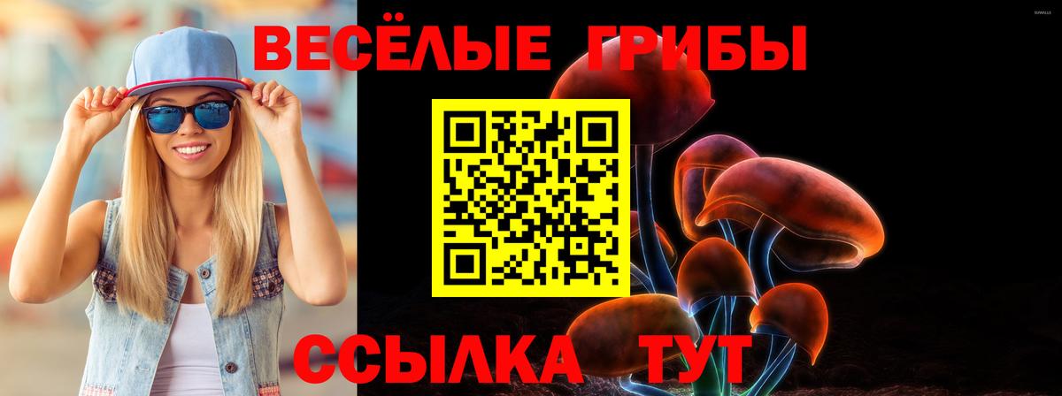 Псилоцибиновые грибы Magic Shrooms  Вход с VPN  Карталы 